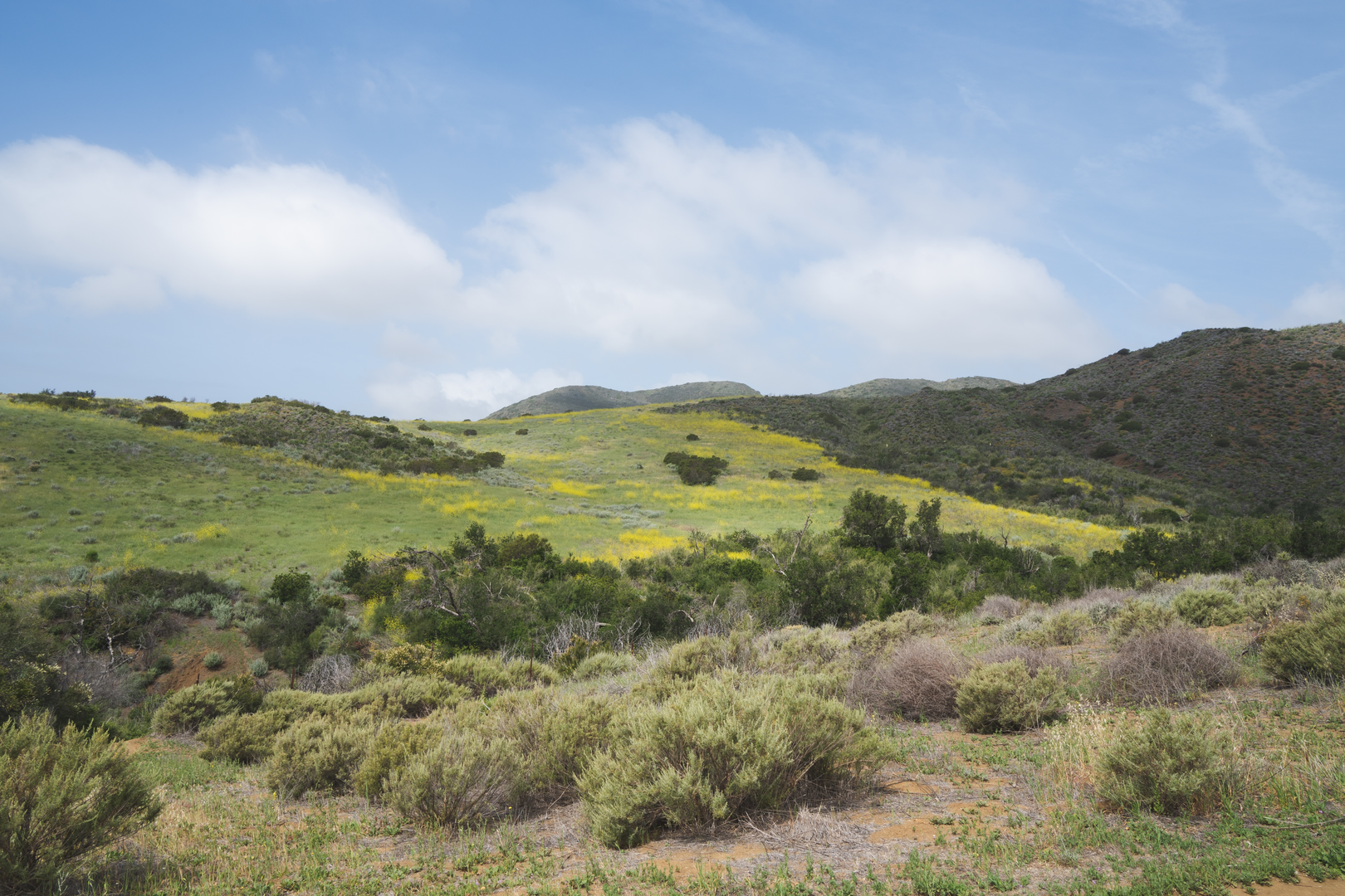 An image depicting the trail Sin Nombre Trail and its surrounding area.