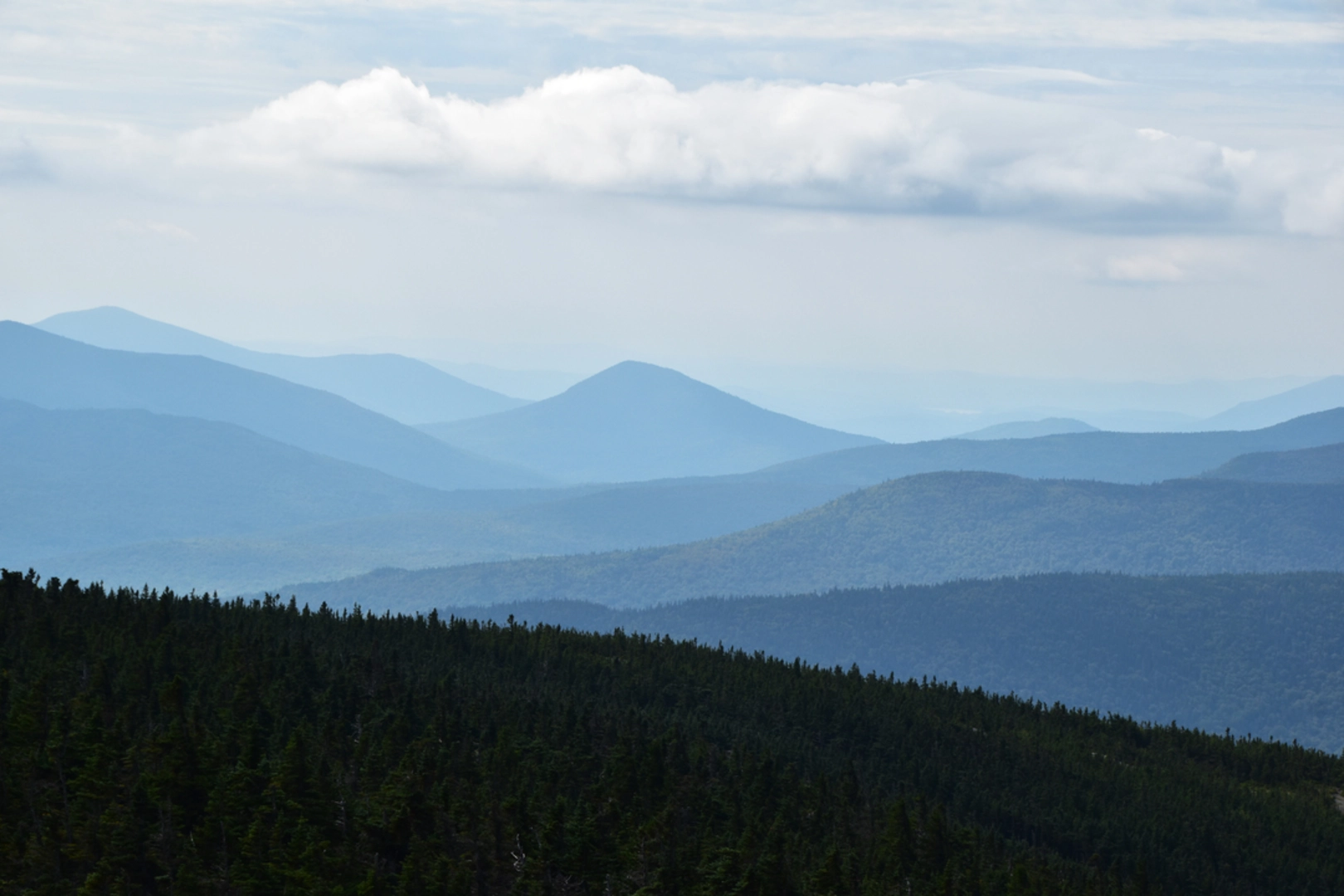 An image depicting the trail Shelburne Trail and its surrounding area.