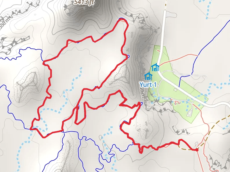 Lizard Foot and Desert View Loop