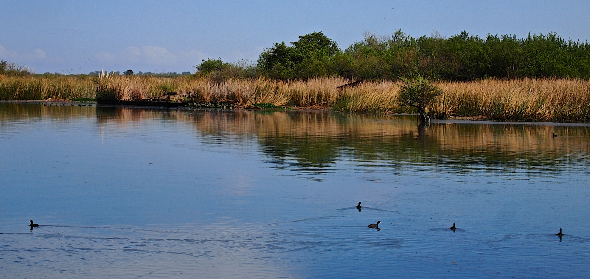 An image depicting the trail Levee Top - Big Break - Marsh Creek Trail and its surrounding area.