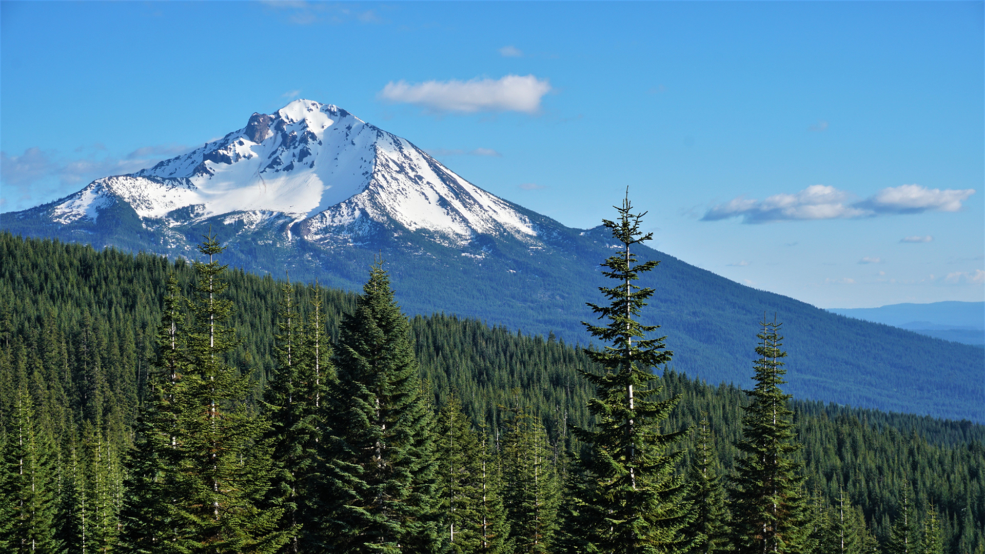 An image depicting the trail Mount McLoughlin Trail and its surrounding area.