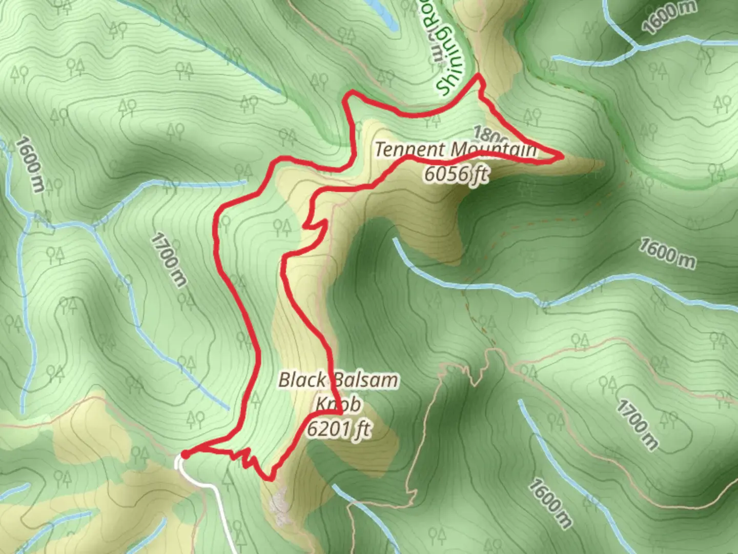 An image depicting the trail Tennent Mountain - Ivestor Gap and Art Loeb Loop Trail and its surrounding area.