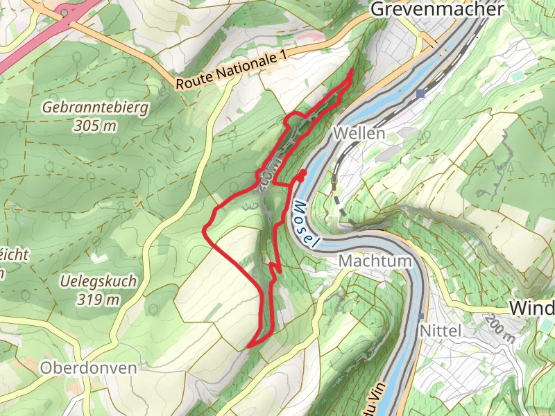 Deisermillen and Machtum Loop