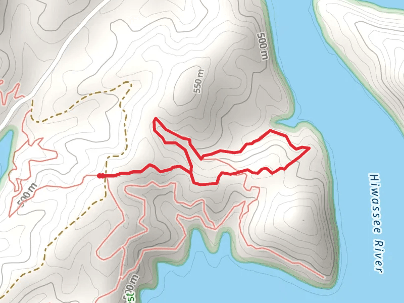 Farmer Top Overlook Loop Trail