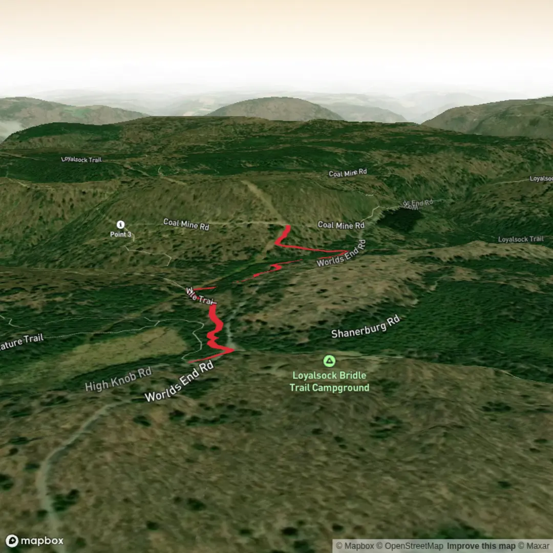 An image depicting the trail Mile Trail and its surrounding area.