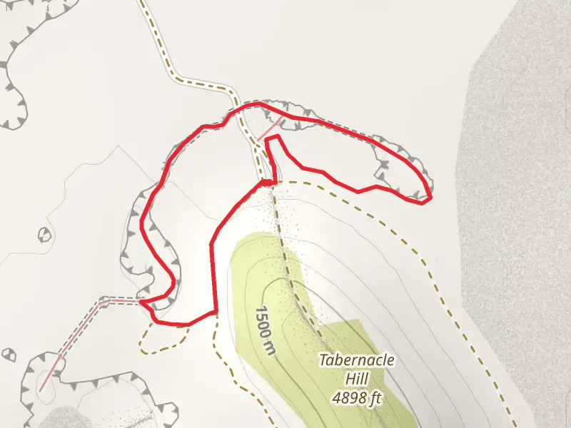 Tabernacle Crater Lava Tube Loop