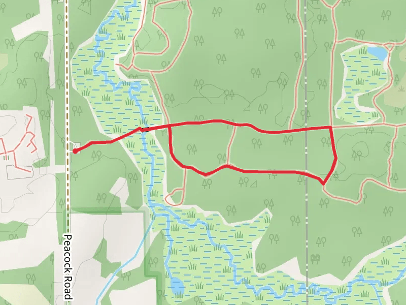 Peacock Road Loop