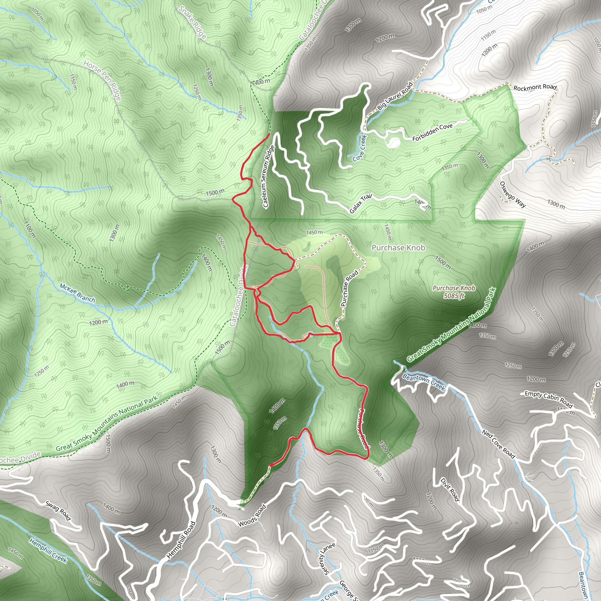 Purchase Road, Ferguson Cabin and Cataloochee Divide Loop Trail mobile static map