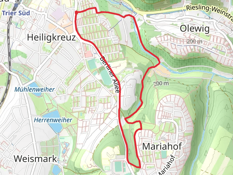 Reiher-Weiher and Tiergartenbach Loop