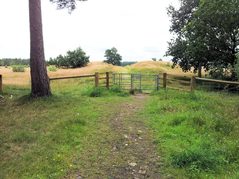 Brandon Country Park Loop