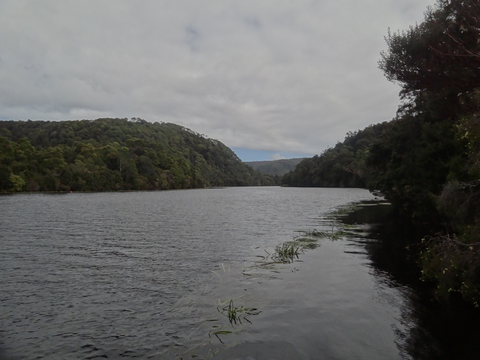 Whyte River Walk