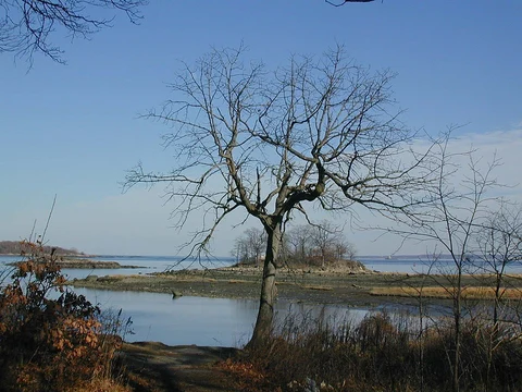 Siwanoy Trail Loop