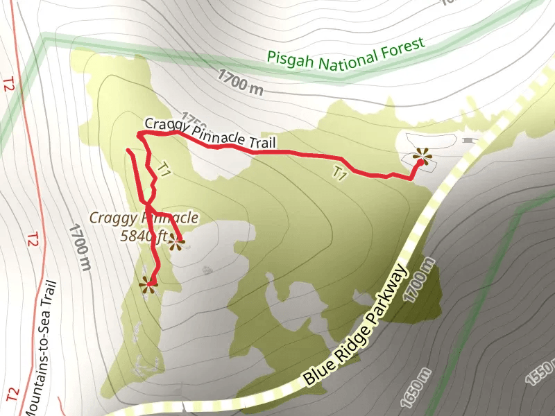 Craggy Pinnacle Trail