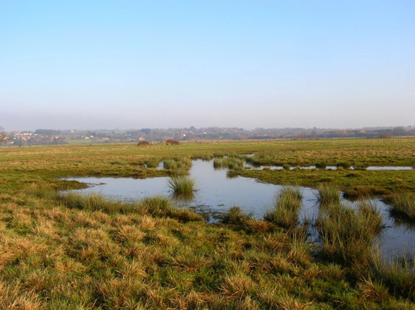 An image depicting the trail RSPB Pulborough Brooks Loop and its surrounding area.