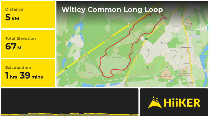 Witley Common Long Loop | Surrey | England