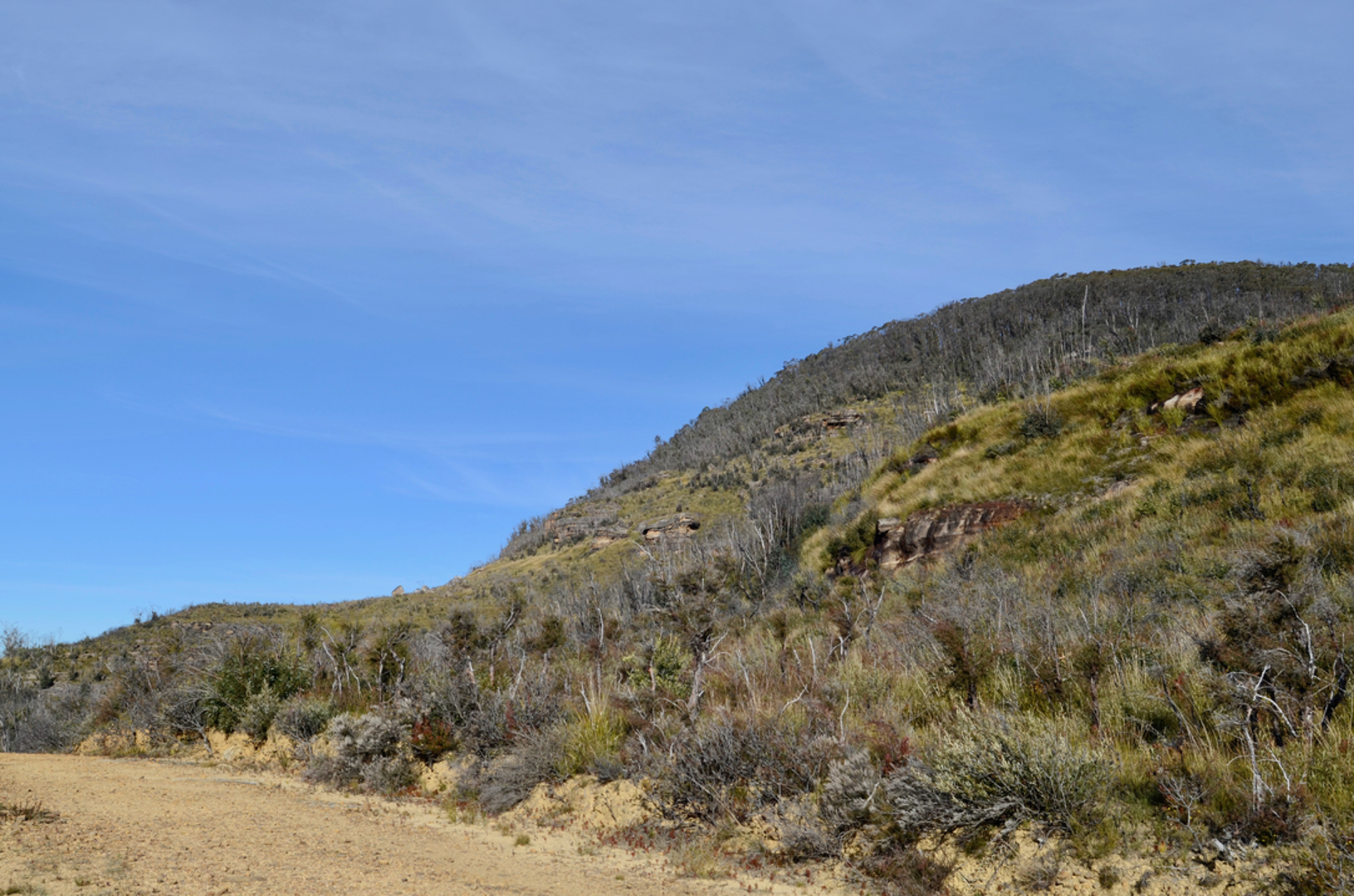 An image depicting the trail Mount Banks Summit Walk and its surrounding area.