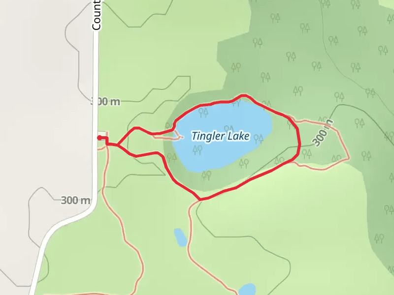 Tingler Lake Loop