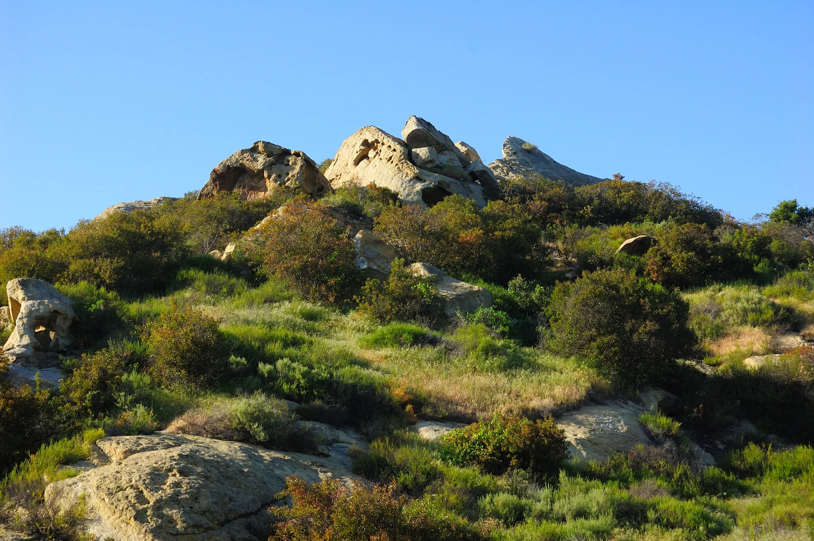 An image depicting the trail Laurel Canyon and Laguna Ridge Loop Trail and its surrounding area.