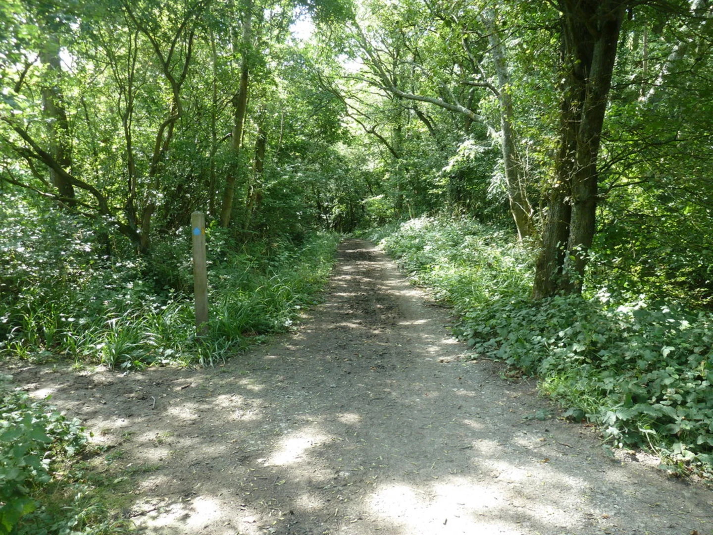 An image depicting the trail Middleton Bostal and Westmeston Bostal and its surrounding area.