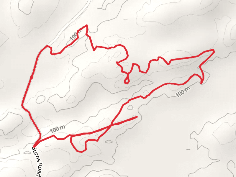 Grass Lake Loop - Burns Road