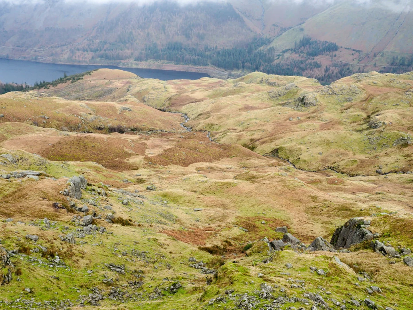 An image depicting the trail Ullscarf and its surrounding area.