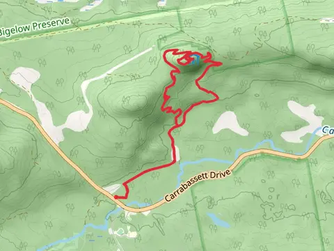 Oak Knoll Loop from Bigelow