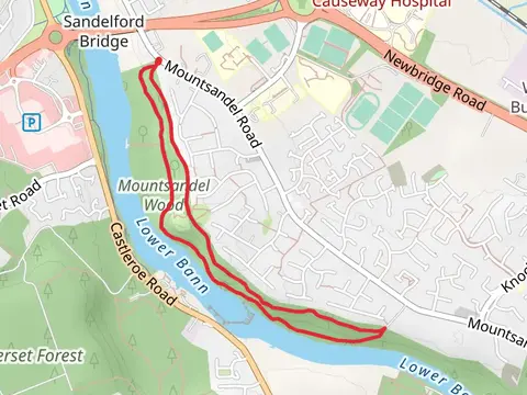 Mountsandel Wood