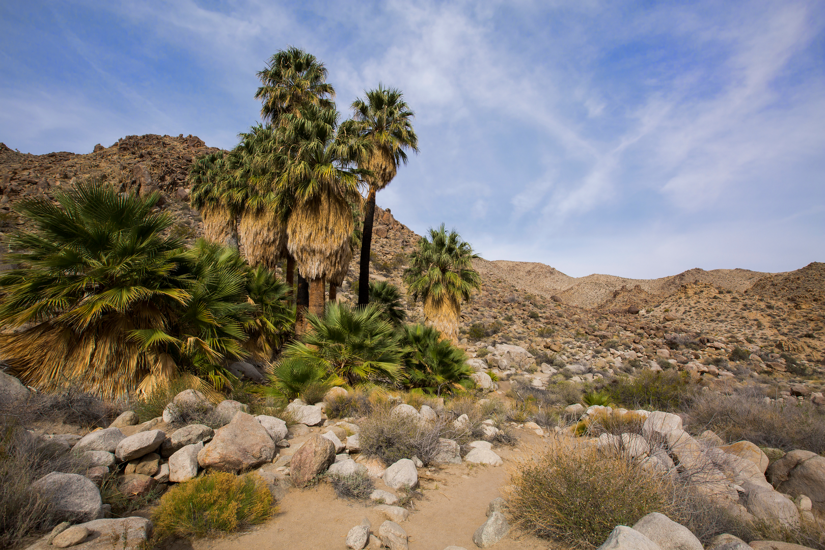 An image depicting the trail Fortynine Palms Oasis via Fortynine Palms Trail and its surrounding area.