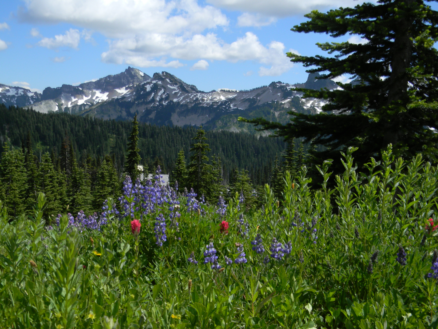 An image depicting the trail Pleasant Valley Lake Trail and its surrounding area.