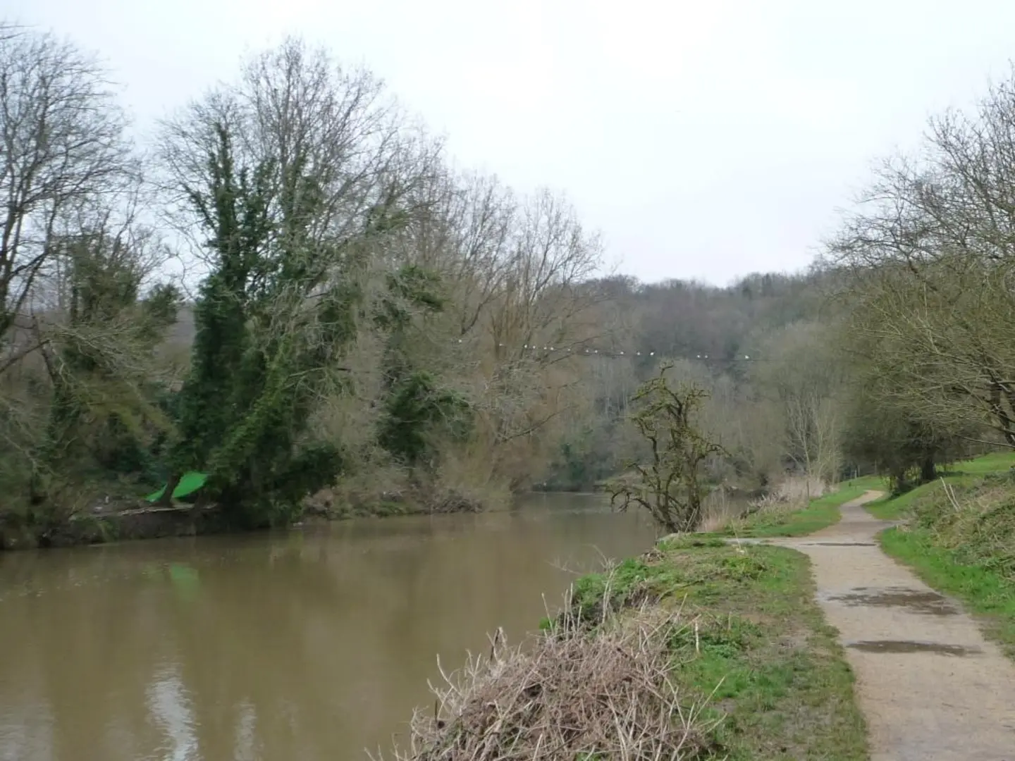 An image depicting the trail River Avon and Hencliff Wood and its surrounding area.