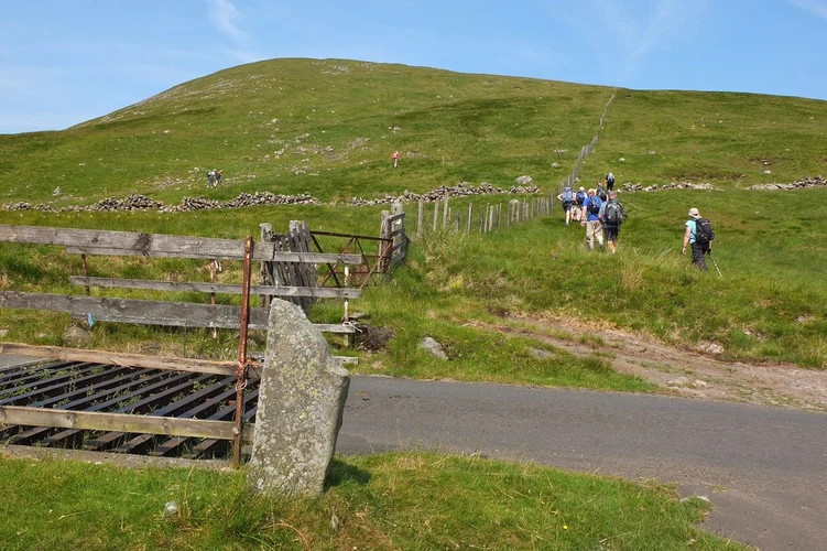 Broad Law from the Megget Stone