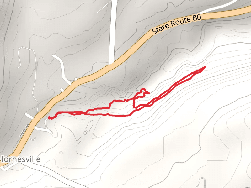 Otsquago Creek Loop