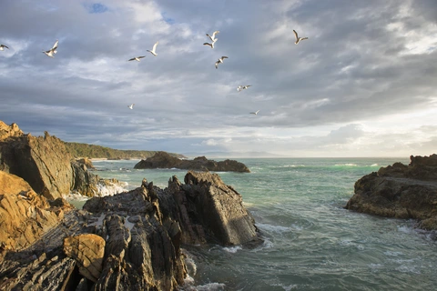 Betka River to Pebbly Beach Walk