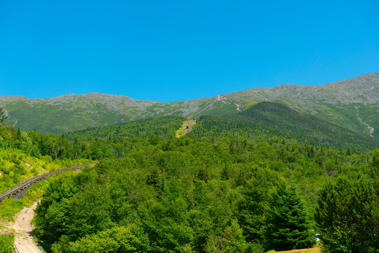 Martha's Mile via Cherry Mountain Trail