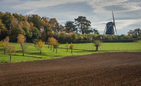 Postelse heide, Bergeyksche Stukken and Venakkerbosch Loop