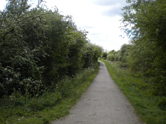 Sinfin Moor Nature Reserve and River Trent via Derby Canal