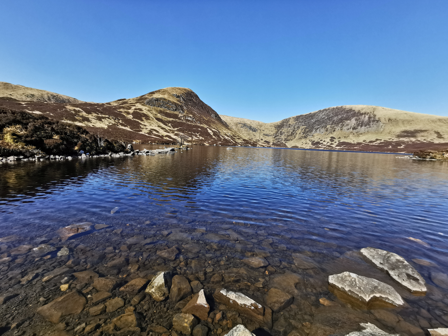An image depicting the trail Loch Skeen, Donald Cleuch Head, White Coomb Loop and its surrounding area.