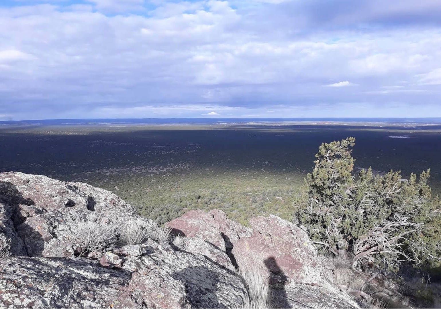 An image depicting the trail Ortega Mountain Adventure and its surrounding area.