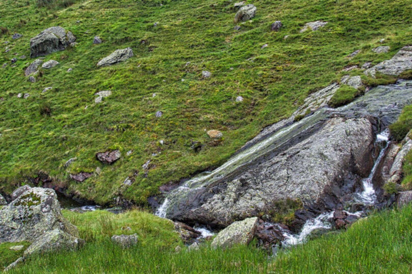 An image depicting the trail Alcock Tarn and Greenhead Gill Loop and its surrounding area.