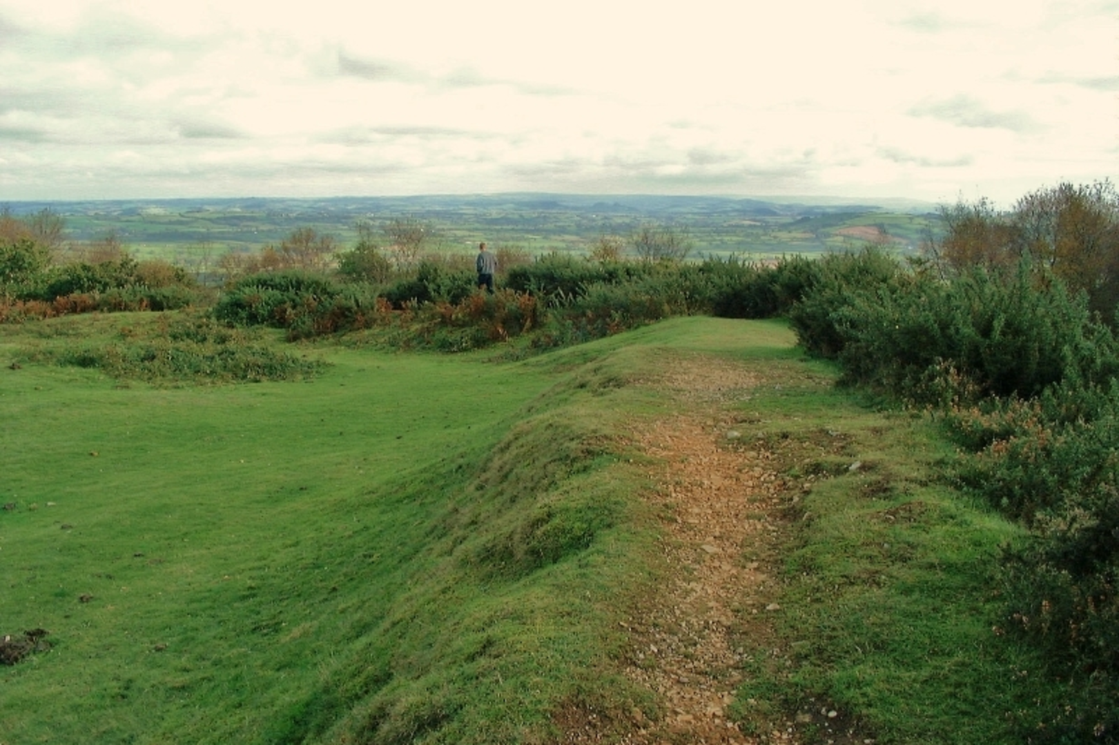 An image depicting the trail Lamberts Castle to Coneys Castle Loop and its surrounding area.