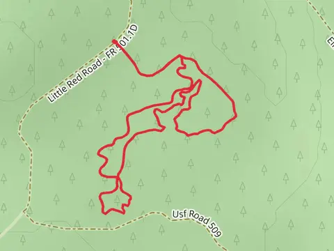 Kids Loop Trail