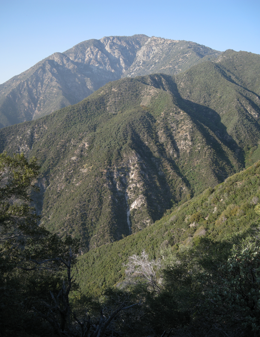 An image depicting the trail Ellie Lane and Iron Mountain Loop Trail and its surrounding area.