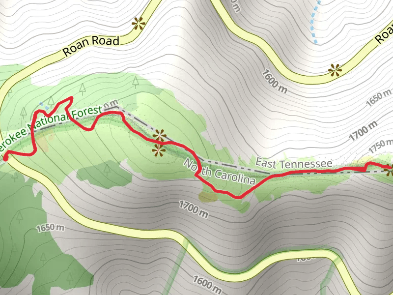 Round Bald, Jane Bald and Engine Gap via Appalachian Trail