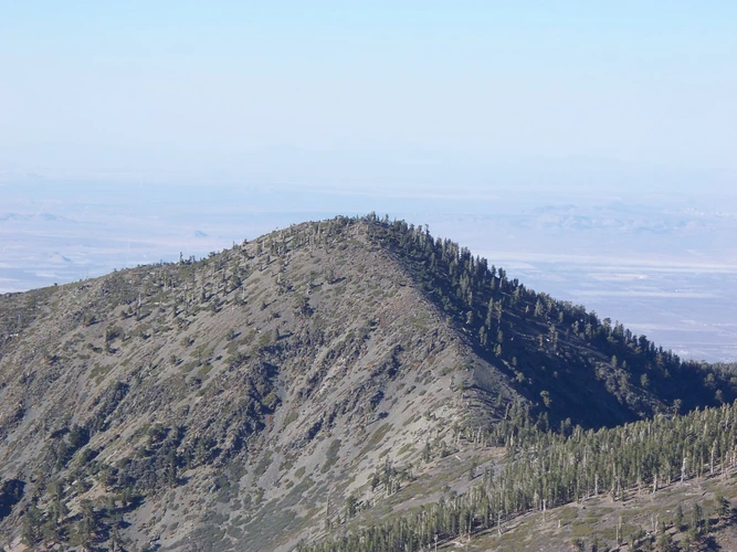 Register Ridge, Mount San Antonio and Baldy Bowl Loop Trail