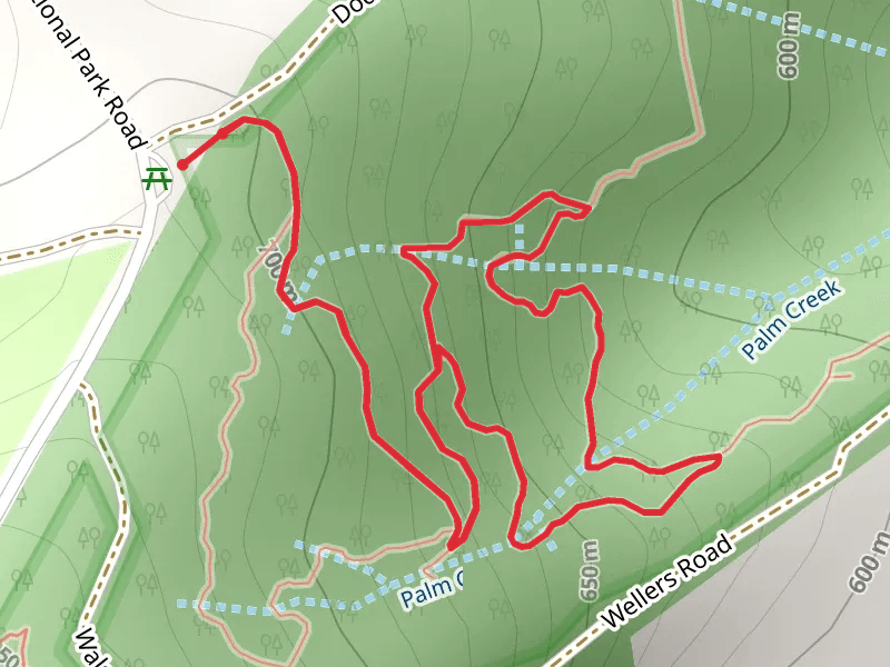 Palm Creek Circuit Track
