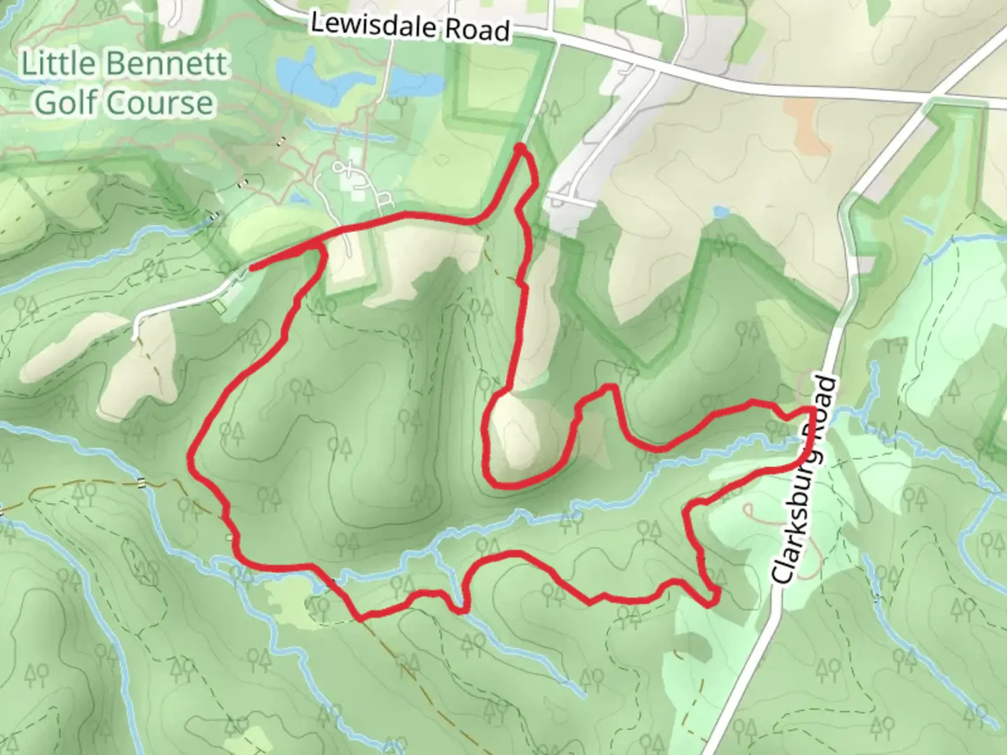 An image depicting the trail Browning Run and Pine Grove Loop Trail and its surrounding area.