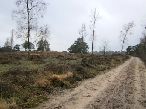 Viskwekerij and Galgenberg via Niersense Weg