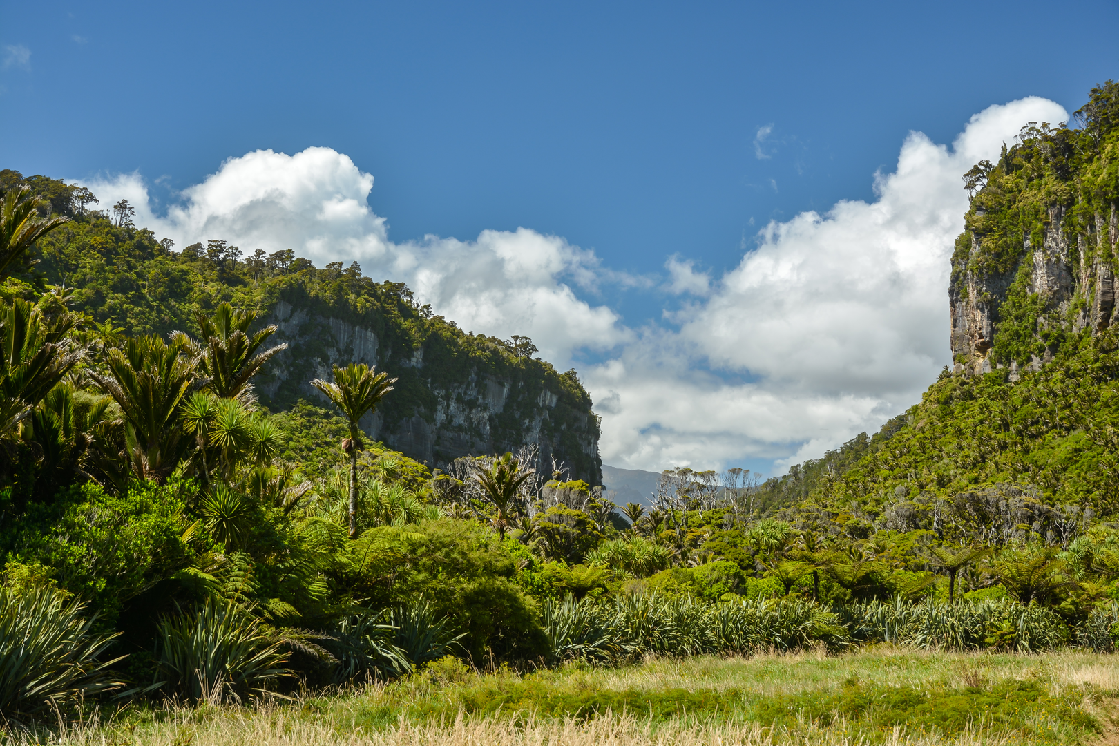 An image depicting the trail Pororari River - Bullock Creek Road and its surrounding area.