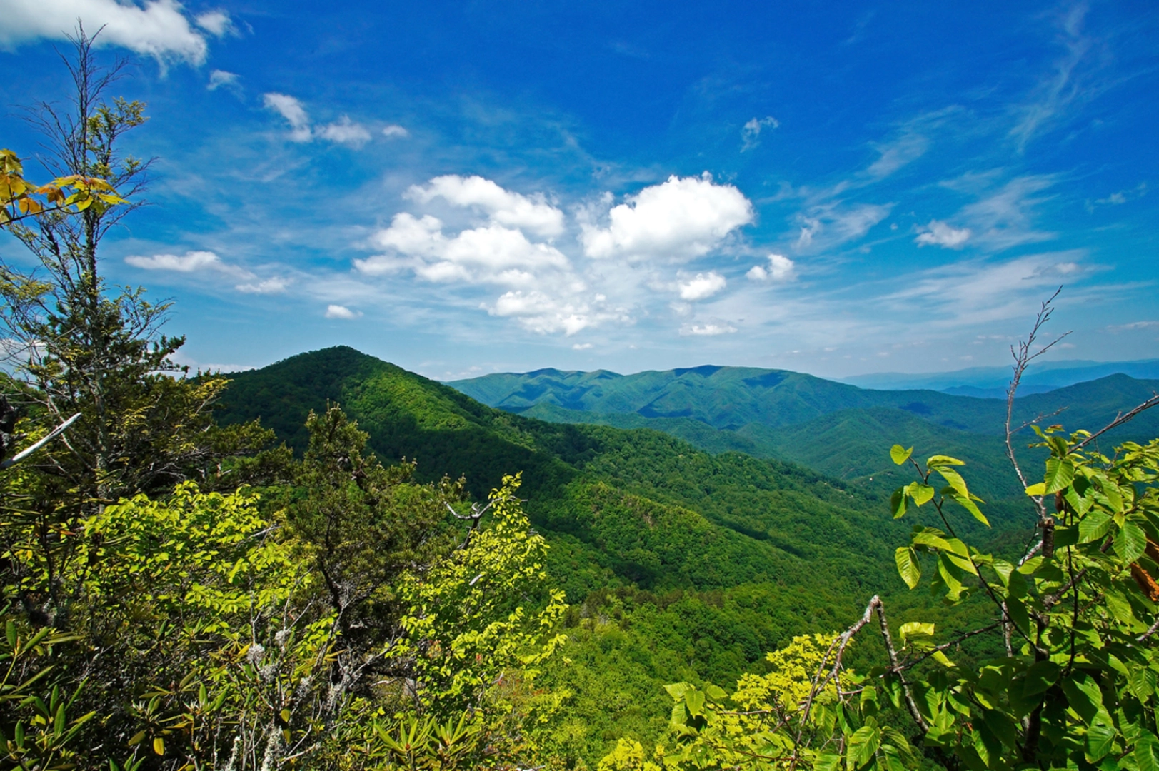 An image depicting the trail Wesser Creek Trail and its surrounding area.