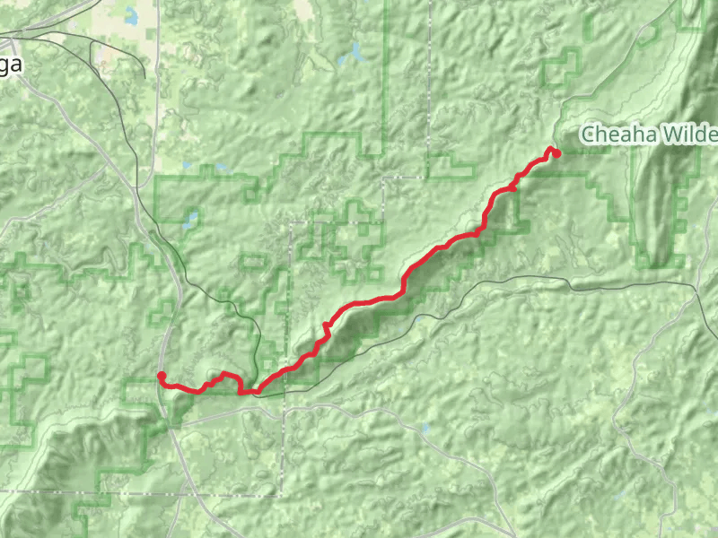 Burgess Point and Adams Gap via Pinhoti Trail
